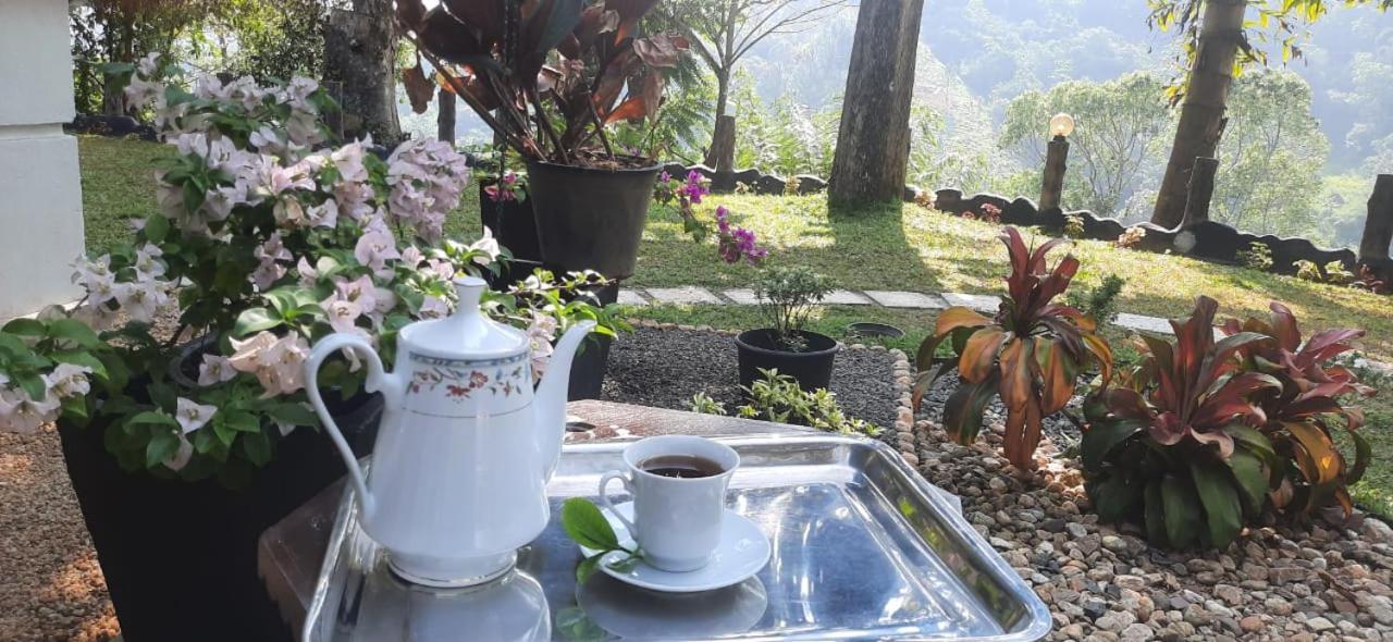 Bed and Breakfast Ceylon Rich Leaves Ella Exteriér fotografie
